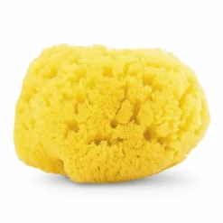 Cura E Accessori Bagnetto|Chicco Spugna Marina Naturale