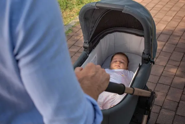 Trio E Sistemi Modulari|Chicco Trio Best Friend Pro Con Kory Essential - Special Edition